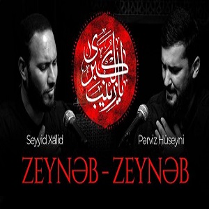 دانلود آهنگ جدید سید خالید و پرویز حسینی بنام زینب زینب